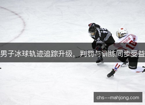 男子冰球轨迹追踪升级，判罚与训练同步受益